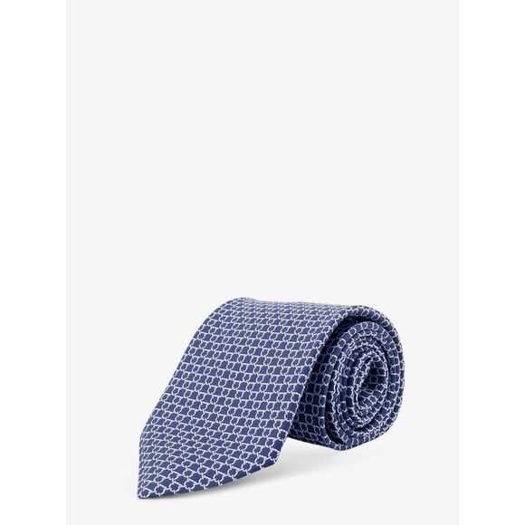 FERRAGAMO Other - Ferragamo Men Carato Silk Tie